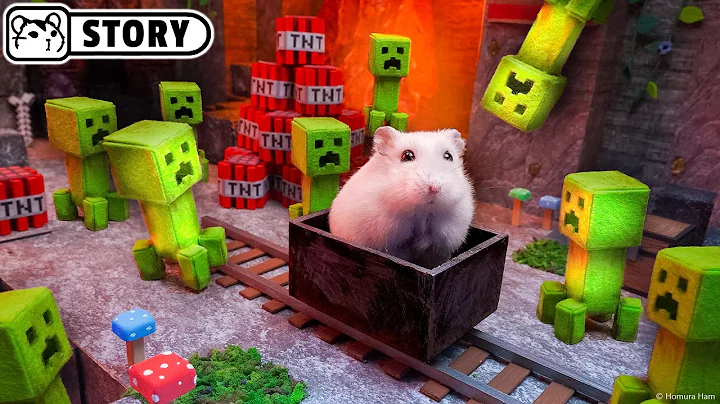 Minecraft in Real Life: Hamster Maze Adventure 🐹 Homura Ham