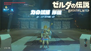 エキスパンションパスやる前に感覚を取り戻す為に祠へ行く。【ゼルダの伝説 ブレス オブ ザ ワイルド】