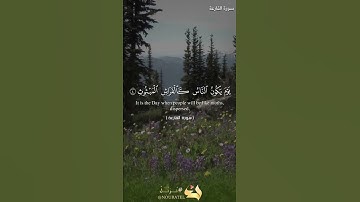 (سورة القارعة) بتقنية الصوت مع الآية والترجمة