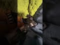 Улыбаюсь этому миру, я люблю людей афермации аффермация