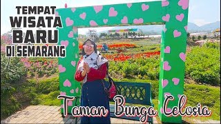 Taman Bunga Celosia 2018