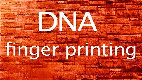 DNA fingerprints....best video
