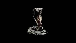 Vj Loop - Snake 3d