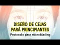 Diseño de cejas para principiantes / protocolo microblading /Curso de cejas