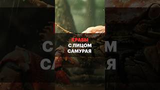 Крабы С Лицом Самурая — Похожи?