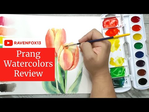 Prang Watercolor 8 Colors Set Review 