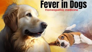 Fever in Dog । Homeopathic । medicine dog show training in dogs by Durabull kennel 91 views 3 months ago 6 minutes, 41 seconds