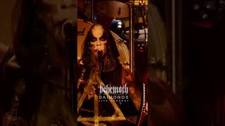 Behemoth - Daimonos #concert #live # behemoth #metal #metallica #livemusic #guitar