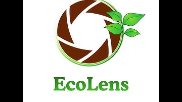 EcoLens – Complete Demo | Forest Loss, Climate Trends & Environmental Analysis Tool