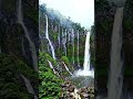 The ultimate hidden waterfall paradise 🌿💦 #Shorts #Nature