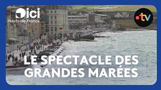 In Wimereux, high tides draw crowds despite underwhelming waves
