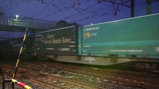 【スーパーグリーンシャトルライナー】【EF210 桃太郎】EF210-136牽引 貨物列車 60レ Super Green Shuttle Liner 2017年11月16日 花月園前踏切