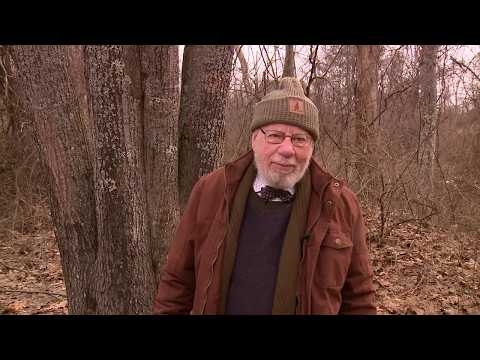Fritz Wetherbee: Binky Ponders Life