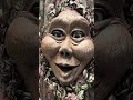 TRACY, THE TALKING TREE#fun#rainforest#trending#trendingshorts#shorts#short#youtube#trendingshorts