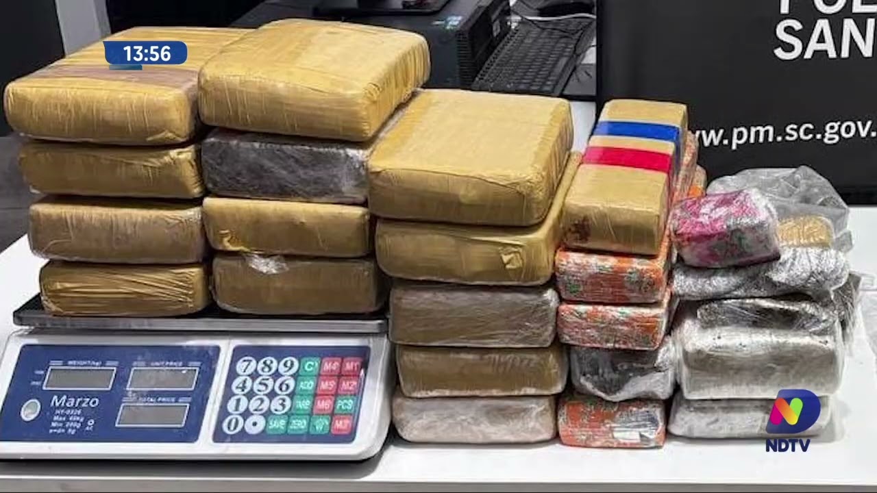 Casa no interior de Cordilheira Alta escondia mais de 20 kg de drogas