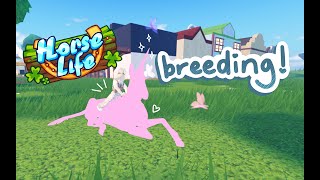 BREEDING UNICORNS in Horse Life!! | Roblox |