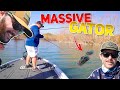 GIANT GATOR CRASHES Googan's FISHING SPOT! ( 2v2 BIG BASS TOURNAMENT )