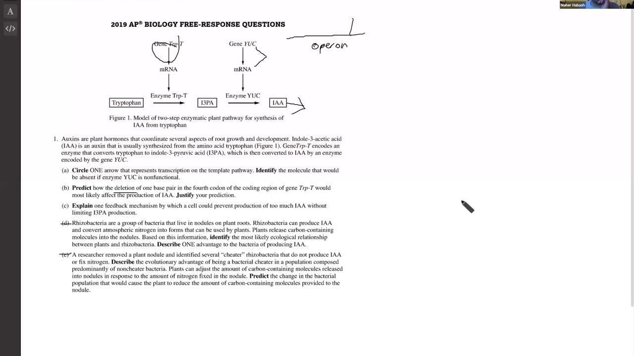 Ap Biology Tutoring 5 5 2020 Youtube