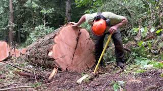 Splitting Cedar Rails: Full Show part 1 - June 2023