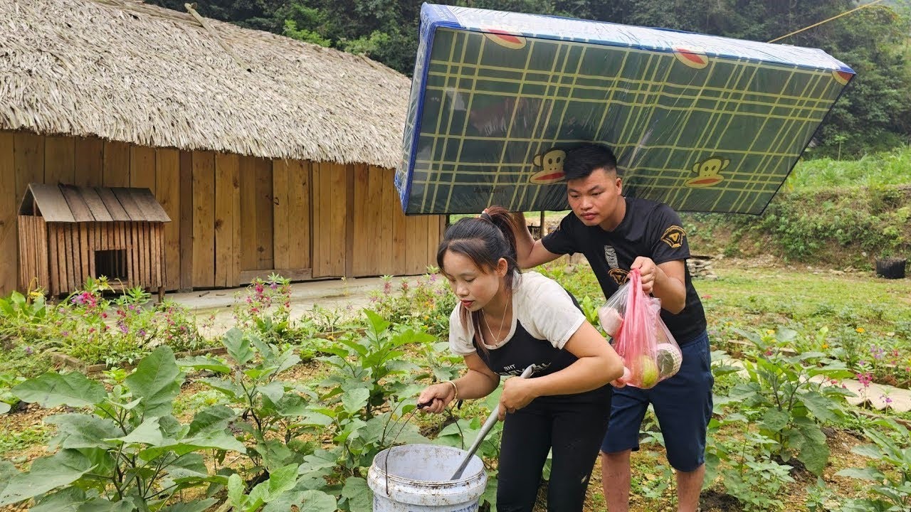 150 days living with Dung, harvesting tomatoes, wild tubers, smoked meat, buying mattresses