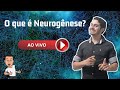 O que é Neurogênese? Aula ao vivo 01