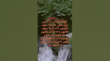 سعد الغامدي سورة التكاثر
