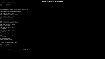 Bull and Cow Guessing Game