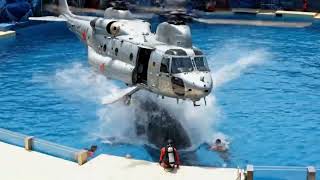 Download Lagu Too Late: Killer Orca Moved Only After Jessica’s Death | Short Film on Orca Attack. MP3 Download Lagu Too Late: Killer Orca Moved Only After Jessica’s Death | Short Film on Orca Attack. MP3
