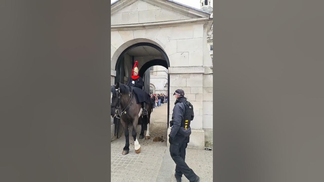 King's Guard yells "Get Out of the Box!" when tourist tries to take a