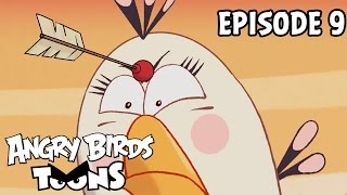 Angry Birds Toons | Do As I Say! - S1 Ep9