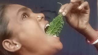 🙏👍❤️🤯Funny frogs Catching |Wep wep catching frogsfunny | boing catch frogs make you laugh#shortsfeed