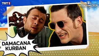Damacana Kurban. Damacana, Damacanaaa... Leyla Ile Mecnun 15. Bölüm