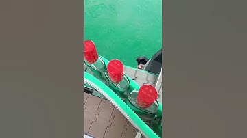 Automatic laser printing machine for bottle cap top