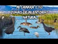 🙌Mi cámara y yo , zonas de mi entorno natural. 🦢🦅🦆🦉