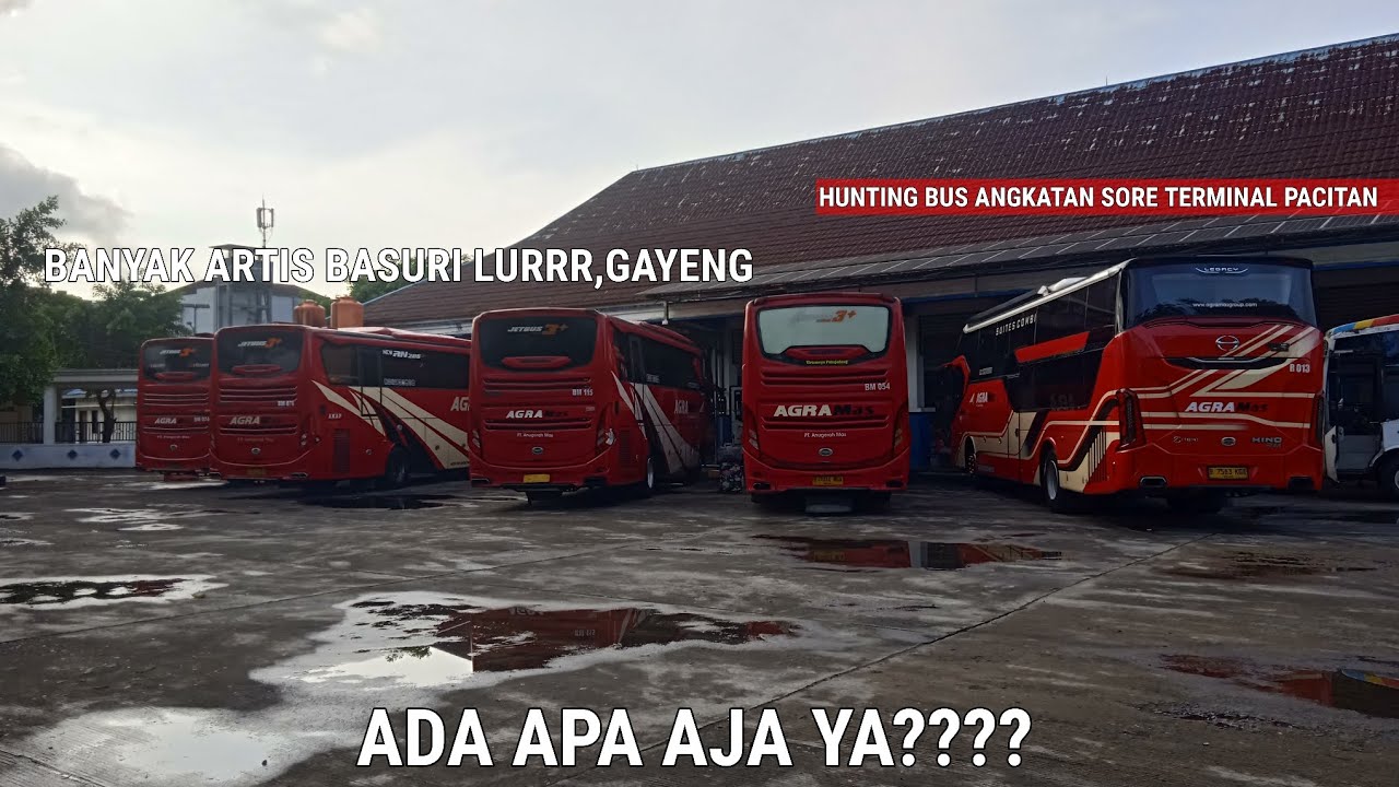 HUNTING ANGKATAN SORE TERMINAL PACITAN????GAYENG LURRR BANYAK ARTIS ...