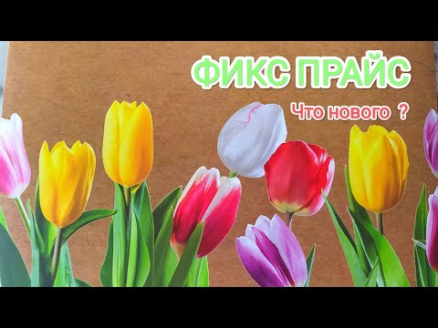 ФИКС ПРАЙС🌷Что нового❓к 8 Марта! Пойдём со мной в Фикс прайс, посмотрим, что новенького 🧐