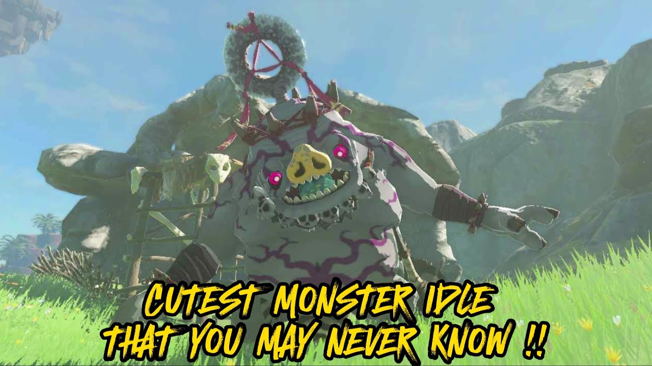 Cutest Monster Idle in totk That You may Never Know !! (The Legend of Zelda: Tears of the Kingdom)
