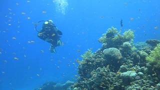 MVI_0926.AVI