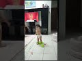 Arveen