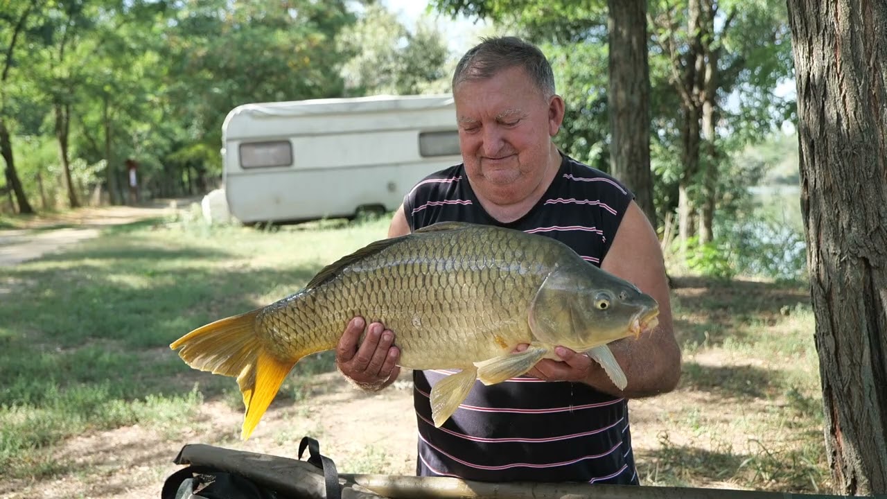 HORGÁSZAT ÉS HORGÁSZTAVAK – Alaszka horgásztó