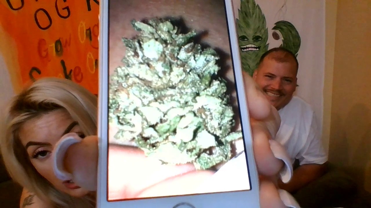 One R.I.P. OG's  Candyland marijuana strain review!