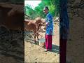 mummy bana rahi hai Naya bistar#mini vlog #viral  video youtube shots