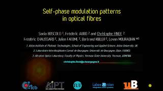 Self-Phase modulation patterns in optical fibers Wealth