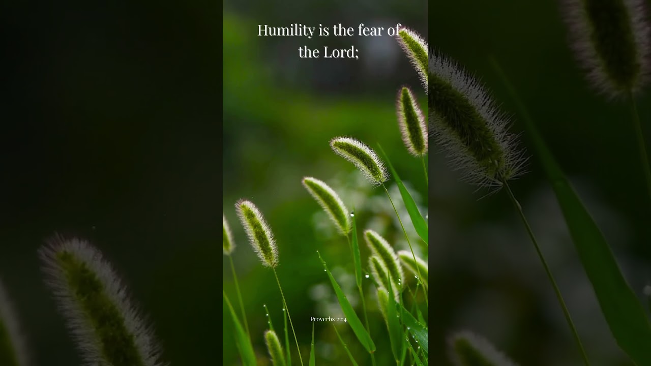 Proverbs 22:4 | Give God The Glory!