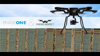 Webinar - Next level field Phenotyping with Pheno-Inspect  AI-based plant analysis | Phase One screenshot 4