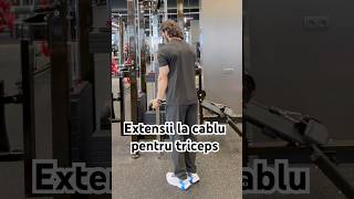 Extensii pentru tricepși cu priza inversă.