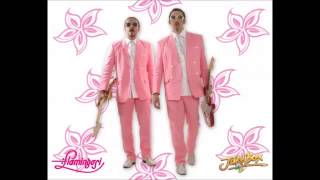 Video thumbnail of "Flamingosi - Srce 2013"