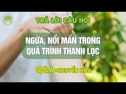 Q&A | Cách xử lý khi bị Ngứa, Nổi Mẩn trong quá trình Thanh Lọc Thân Tâm