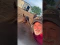 Tryna get a nap but theses horses ain’t having it