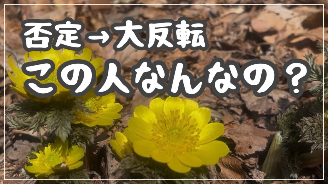 否定してたのに写真パシャパシャ。うちの夫どう思います？